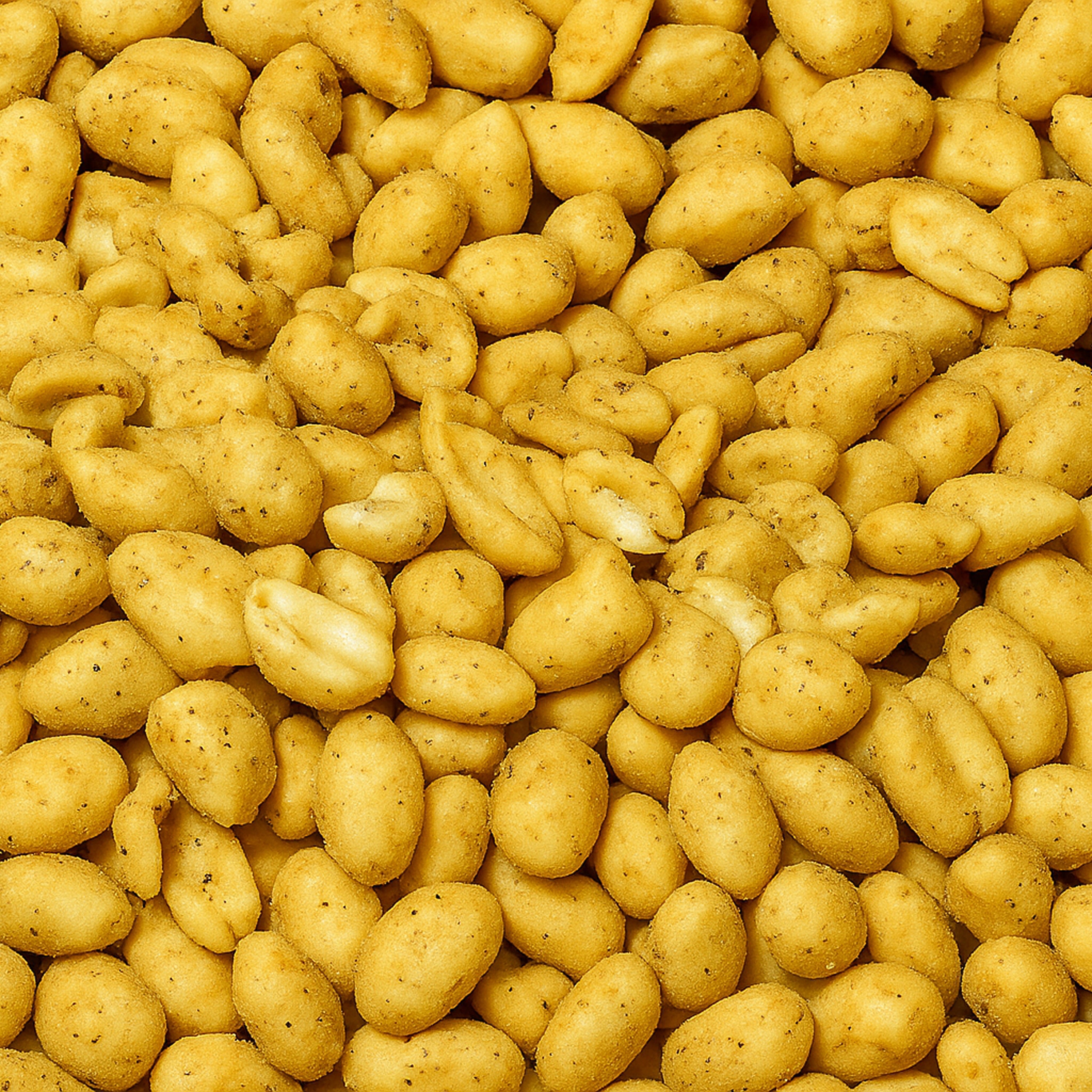 The Gift Bundle (Assorted)