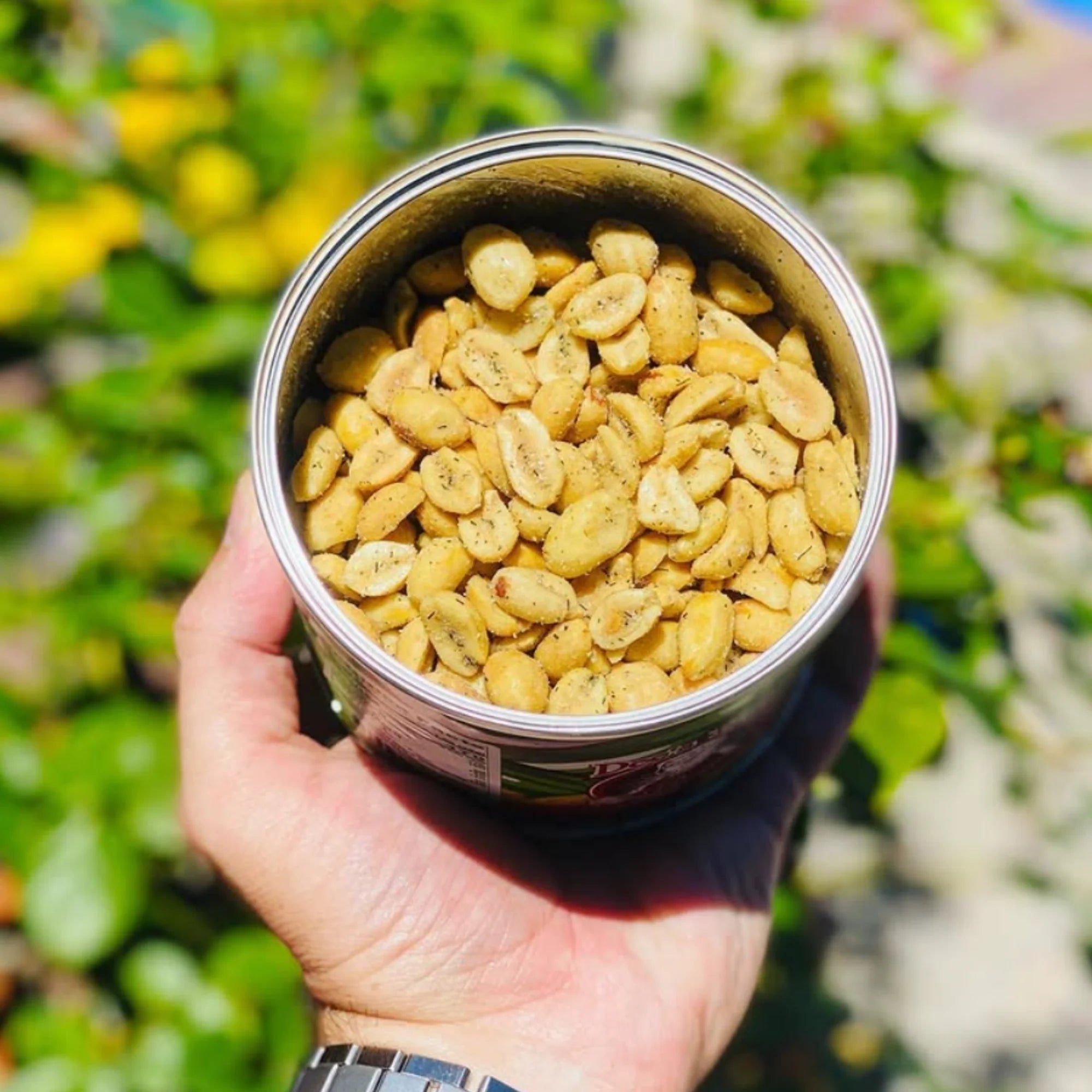 Dill Pickle Gourmet Peanuts