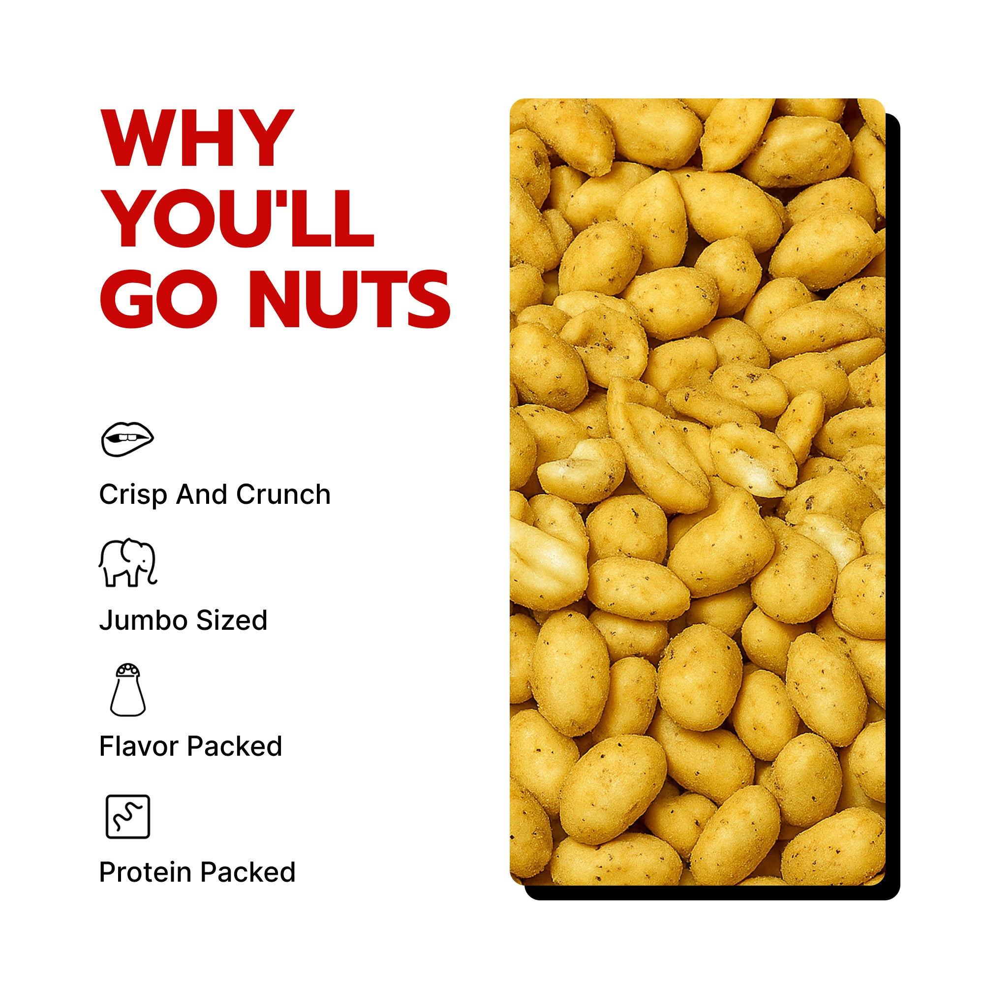 Dill Pickle Gourmet Peanuts 10 Oz Bag
